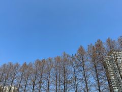 -上海市第八中学