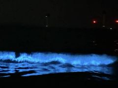 -坛南湾阿强农家乐.海鲜大排档老字号(福州地标美食店)