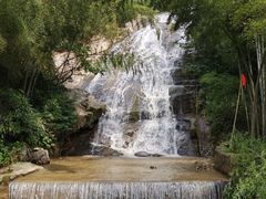 -紫鹊界梯田景区