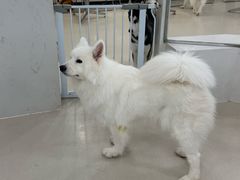 -共舞时光猫咖·狗咖(新街口店)