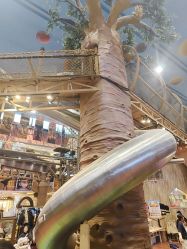 -卡通尼·Safari非洲探索乐园·生日会(金桥国际商业广场店)