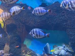 -横店影视城梦幻谷园区