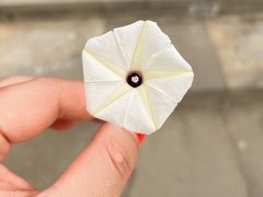 -三亚南山文化旅游区