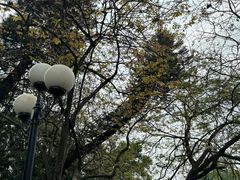 -荔湾区儿童公园