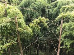 -藏龙百瀑风景区