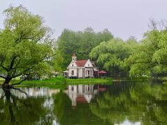 -上海共青森林公园