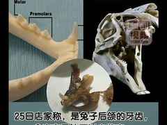 -唐猛猛湘乐汇(银泰城店)