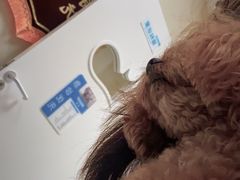 -德元·美联众合24小时动物医院(总院)