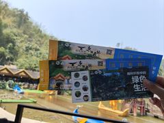 -西双版纳原始森林公园