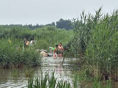 -绿堤公园