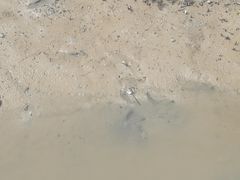 -北海金海湾红树林生态旅游区