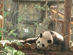 -泉州海丝野生动物世界