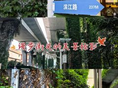 -泸州老窖景区