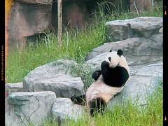 -宁波野生动物园
