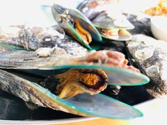 -七鲜渔港美食餐厅(巽寮湾海景店)