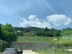 -黄龙山原始森林景区