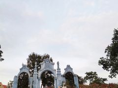 -大塘金香草谷