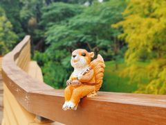 -云溪植物园