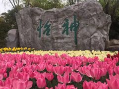 -上海鲜花港