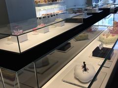 -BLACKSWAN黑天鹅(环球店)