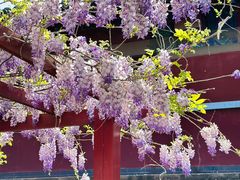 -隆兴寺