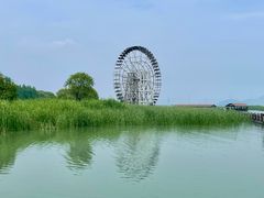 -苏州太湖湖滨国家湿地公园