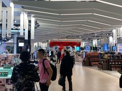 -谢列梅捷沃国际机场