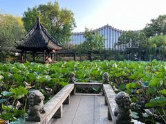 -上海醉白池公园