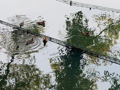 -杭州西湖风景名胜区-钱塘苏小小之墓