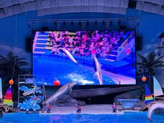 -海合安武汉极地海洋公园