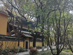 -亭林园-华藏寺