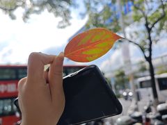 -麦歌什么ktv(固戍店)