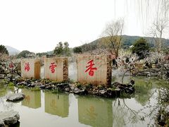 门面-香雪海