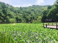 -天目湖山水园