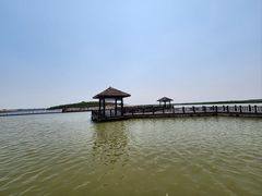 -南大港湿地风景区
