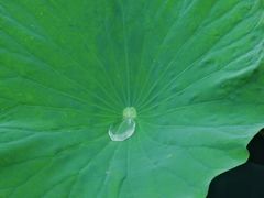 -重元寺香积厨素斋馆