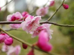 -天鹅湖体育公园