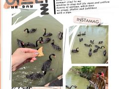 -溱湖国家湿地公园