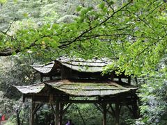 -青城山