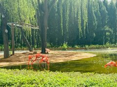 -石家庄市动物园