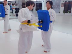 -极真空手道修远道场