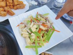 -盐禾堂海南屯昌香草鸭(总店)