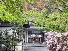-三千院