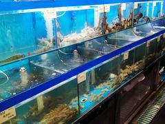 -船梆煮•蒸汽海鲜·生腌干蒸(五四广场店)