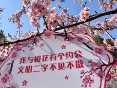 -顾村公园