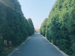 -苏州吴中太湖旅游区