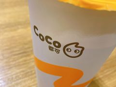 -CoCo都可(新我格广场店)