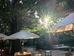 -三亚艾迪逊酒店·海滩烧烤 BARBACOA·现场乐队·浪漫晚餐·烧烤海鲜