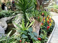 -北京植物园-展览温室