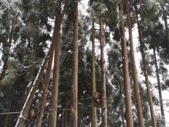 -太阳湾风景区